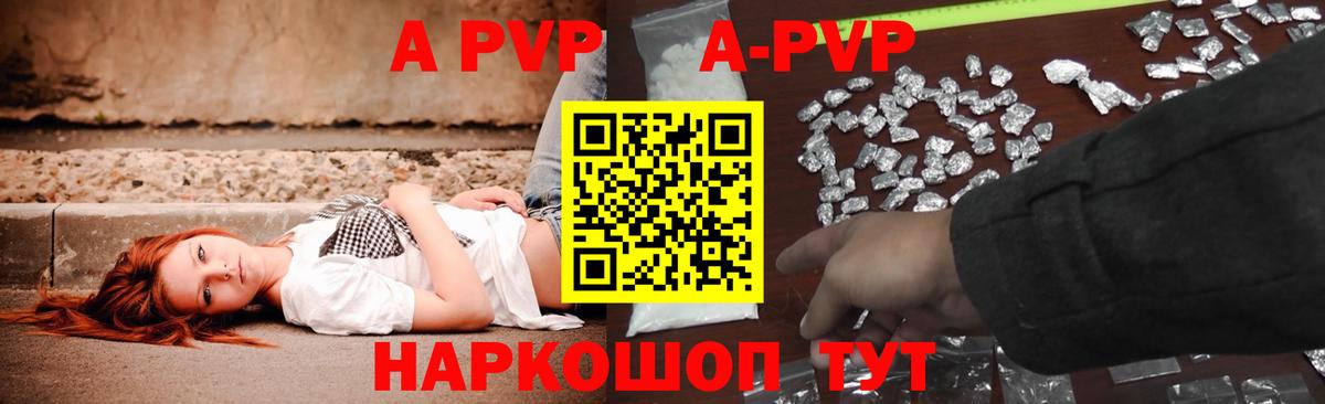 Alfa_PVP СК Урус-Мартан