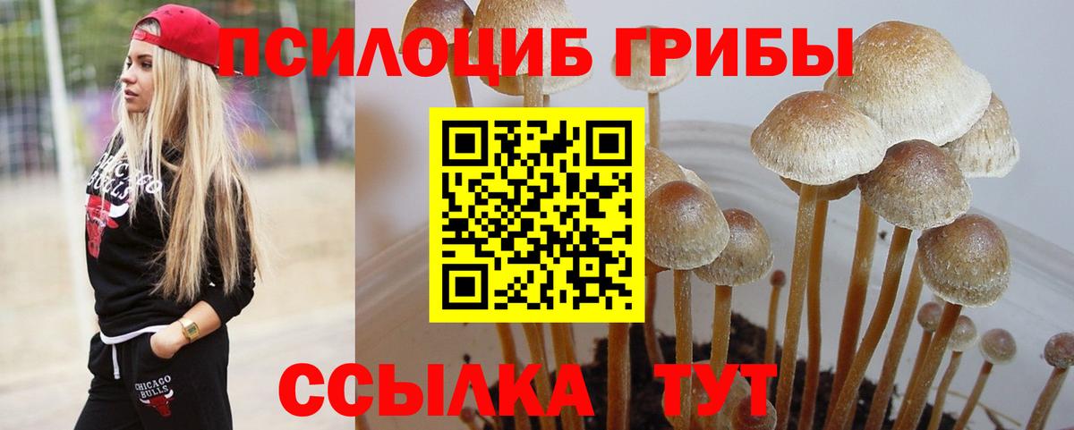 Галлюциногенные грибы GOLDEN TEACHER  Вход с VPN  закладки  Урус-Мартан  Галлюциногенные грибы ЛСД 