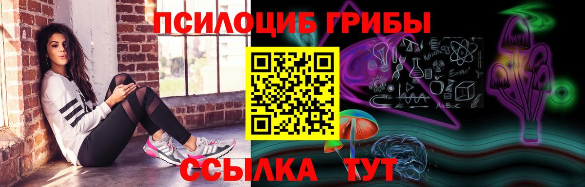 Псилоцибиновые грибы мицелий Урус-Мартан