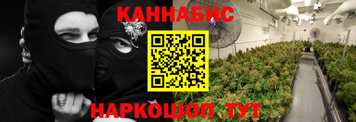 Шишки марихуана индика Урус-Мартан